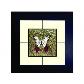 蝴蝶(8) y03005 玻璃壁飾系列