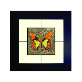 蝴蝶(9) y03004 玻璃壁飾系列