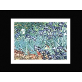 y09404 複製畫 Van Gogh 梵谷-園中鳶尾花(LF13)---預購商品
