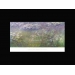 y09408 複製畫 莫內 Claude Monet-睡蓮(M427)