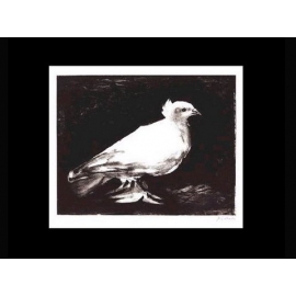 y09424 複製畫 Picasso 畢卡索-鴿子(P348)