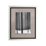 y11465-畫作系列-複製畫-樹林