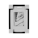黑白攝影-樹貌 (y11790 攝影作品-w38xh54cm(含框尺寸)，可指定尺寸)