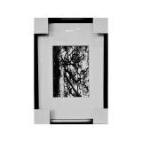 黑白攝影-樹貌 (y11790 攝影作品-w38xh54cm(含框尺寸)，可指定尺寸)