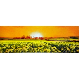 風景鄉村油畫系列-y12819-油畫 - 風景鄉村油畫系列(另有其他尺寸)