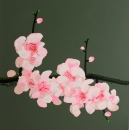 y14026 畫作系列-油畫- 油畫花系列- 櫻花(粉色)