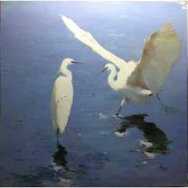 y14102 畫作系列 - 油畫 - 油畫動物- 趙虎燮油畫 白鷺鷥(作品已被收藏)