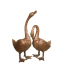 銅雕鵝(金羽毛)-抬頭款/低頭款(y14711 銅雕塑系列- 銅雕大型擺飾、銅雕動物 ) 一對---可預購