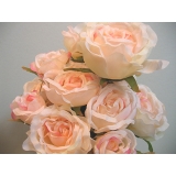 y013513新英國玫瑰花束─杏粉(1001A0551)