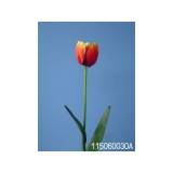 y11735 花藝設計-精緻人造花-小鬱金香 紫/枝 (共7色)