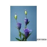 y11780 花藝設計-精緻人造花-紗桔梗 深紫 (共6色)