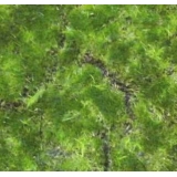 y13706 庭園造景-人工草皮- 綠青苔草皮(圓形)