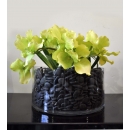 y14415 花藝設計- 玄關桌.電視櫃盆花- 圓型玻璃花器造型花藝
