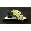 花藝造型設計 (y14560花藝設計- 玄關桌.電視櫃盆花) 