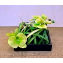 斑草蘭花藝造型設計 (y14561花藝設計- 玄關桌.電視櫃盆花) 