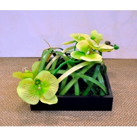 斑草蘭花藝造型設計 (y14561花藝設計- 玄關桌.電視櫃盆花) 