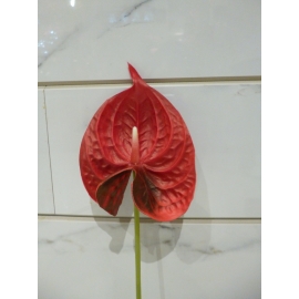 小紅掌-火鶴(y14664  花藝設計 花材材料 精緻人造花 枝花 海芋.火鶴)