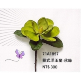 y15872 花藝設計-精緻人造花-枝花-歐式洋玉蘭(秋綠色)-共2色
