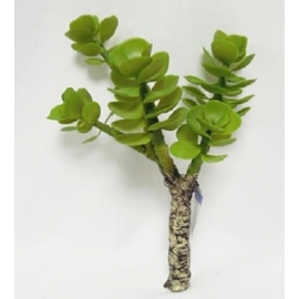 y15884 花藝設計-精緻人造花-多肉植物-薄葉金錢樹枝