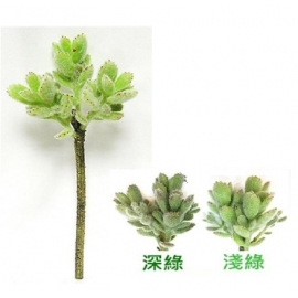 y15890 花藝設計-精緻人造花-多肉植物-5叉兔耳蘭 共2款顏色 深綠.淺綠