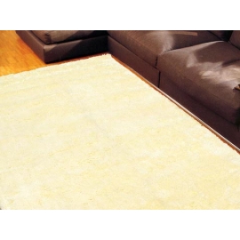 常見問題：【地毯與牆壁處會有細小的灰塵，有時麼預防方法嗎】