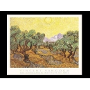 y00788 複製畫 Van Gogh梵谷-橄欖樹V48