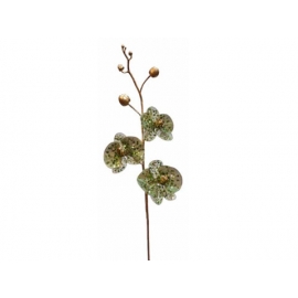 y02302-花材-金典花材-珠光蝴蝶蘭(綠)