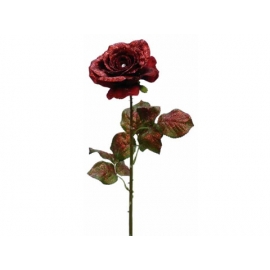 y02314-花材-金典花材-玫瑰(紅)