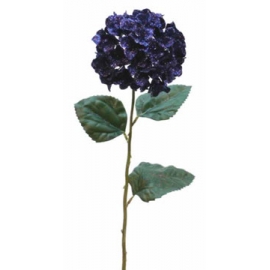 y02315-花材-金典花材-繡花球(紫)