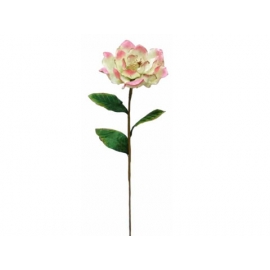 y02322-花材-金典花材-洋玉蘭(粉紅色)