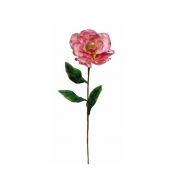y02323-花材-金典花材-洋玉蘭(粉紅色)