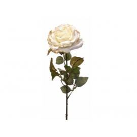 y02327-花材-金典花材-金邊玫瑰(米白)