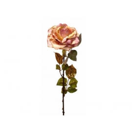 y02329-花材-金典花材-金邊玫瑰(豆沙 )