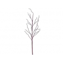 y02357-花材-其他-樹枝(美麗紅)