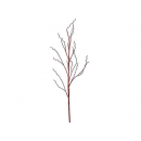 y02359-花材-其他-樹枝(紅)