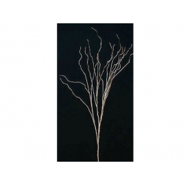 y02366-花材-其他-樹枝(金)