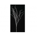 y02367-花材-其他-樹枝(白)