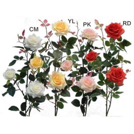y03716-花材花藝果樹-花材-玫瑰(白、黃、粉、紅)