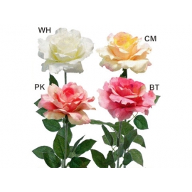 y03717-花材花藝果樹-花材-玫瑰(白、黃、粉、紅)