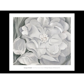 y09502 複製畫 O Keeffe-The White Calico Flower, 1931-O315絶版,可用手繪擬摹