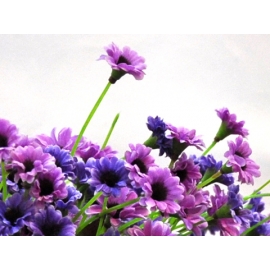 y11318 花藝設計.花材花藝果樹系列-精緻人造花-迷你花束-紫